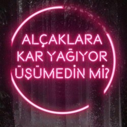 Alçaklara Kar Yağıyor Üşümedin Mi Neon Led Tabela